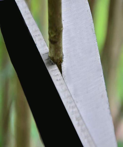 【仅限自提】出口品质 重型锰钢园艺剪刀 大号绿植花卉修枝剪刀 商品图2
