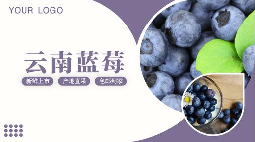 云南高山蓝莓L11（250g/ 500g/800g） 商品图1