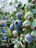 云南高山蓝莓L25花香蓝莓（400g  /800g） 商品缩略图0