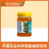 买2送挤瓶蜂蜜  华兴牌 | 椴树蜂蜜1000g 中国农业科学院蜜蜂研究所打造 商品缩略图0