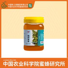 买2送挤瓶蜂蜜  华兴牌 | 椴树蜂蜜1000g 中国农业科学院蜜蜂研究所打造