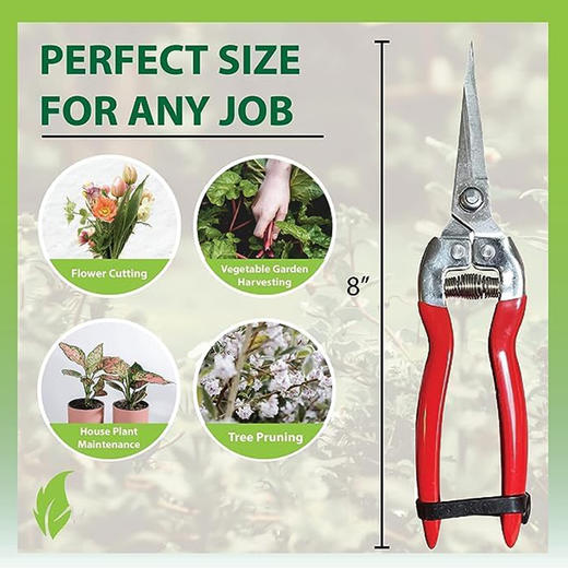 【仅限自提】高品质 不锈钢园艺修枝剪 带安全锁扣 摘果修盆栽 商品图3