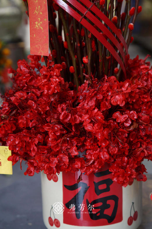 年年有银留 商品图2