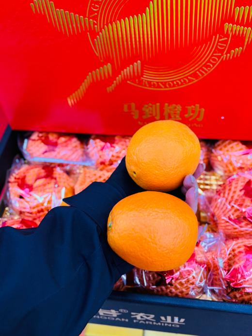 马到橙功橙子礼盒 商品图2