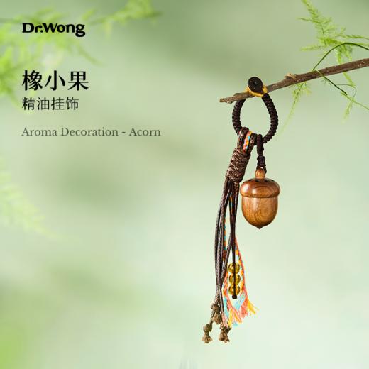「橡小果」精油挂饰 商品图0