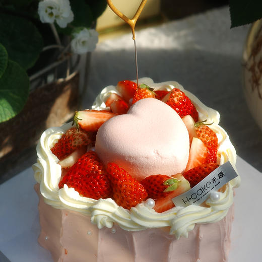 心芯相印 商品图2