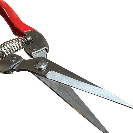 【仅限自提】高品质 不锈钢园艺修枝剪 带安全锁扣 摘果修盆栽 商品图4