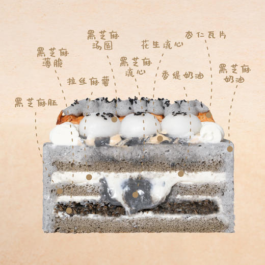 养生系【五重醇香黑芝麻】 商品图1