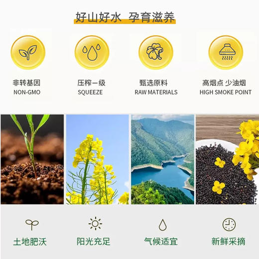 【严选】荆楚粮油湖北好粮油 秦巴山区物理压榨小榨植物油 武当花低芥酸菜籽油5L/桶（厂家直发） 商品图3