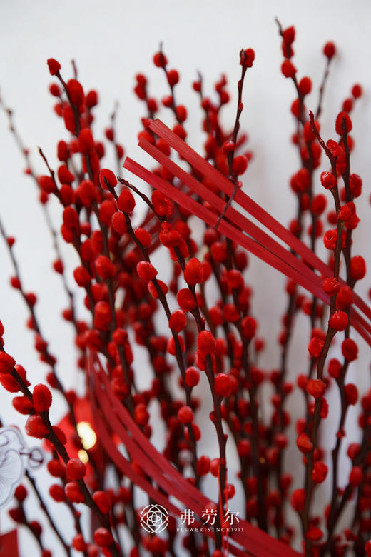 年年有银留 商品图3