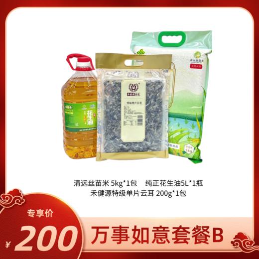万事如意套餐B 年货礼盒送礼大礼包整箱 商品图0