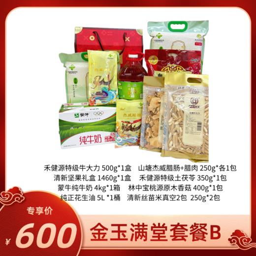 金玉满堂套餐B 年货礼盒送礼大礼包整箱 商品图0