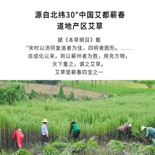 正安 艾草足浴饼 蕲春蕲艾泡脚足浴 10个/盒 商品图5