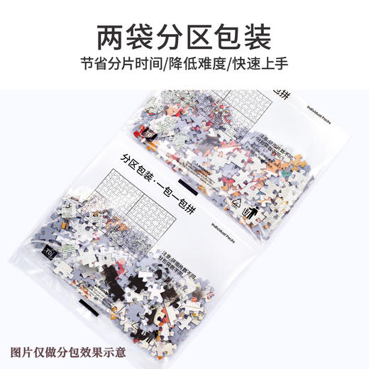 TOi图益-潮玩拼图系列-捉迷藏-500片-分包款 商品图4