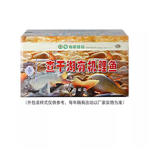 查干湖冬捕26年有机鲤鱼 15斤/箱 商品图0