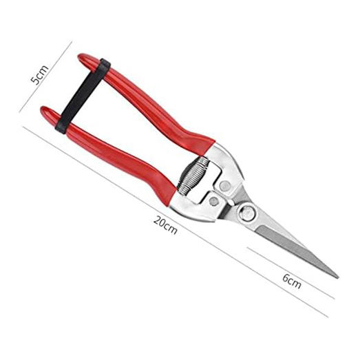 【仅限自提】高品质 不锈钢园艺修枝剪 带安全锁扣 摘果修盆栽 商品图5