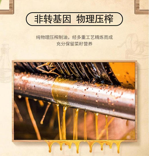 【严选】荆楚粮油湖北菜籽油  甄选非转基因物理压榨 武当花小榨浓香菜籽油5L/桶（厂家直发） 商品图3