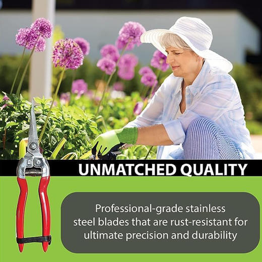 【仅限自提】高品质 不锈钢园艺修枝剪 带安全锁扣 摘果修盆栽 商品图2
