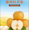 烟台秋月梨2.5kg 商品缩略图0