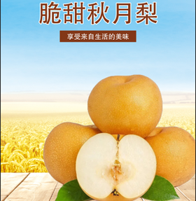 烟台秋月梨2.5kg