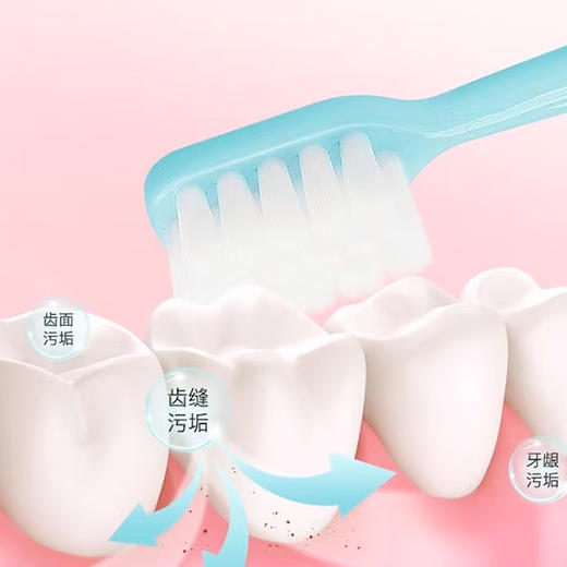 青蛙柔净系列952|950牙刷 商品图3