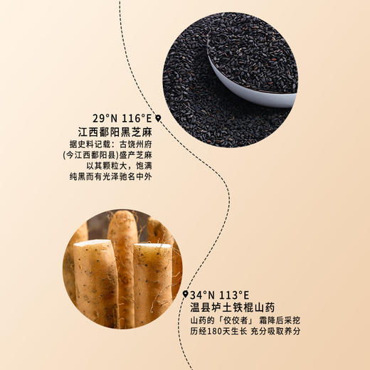 正安 十黑粉 十重黑营养呵护裨胃巩固先天之本 无蔗糖无香精 十黑芝麻粉 600g/罐 腰膝黑色入肾 头发掉发代餐早餐 商品图5