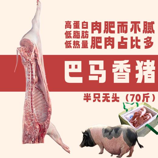 【直送到家】巴马香猪(半只)70斤 分割装 鲜肉冷链 ，脂肪不油腻，瘦肉不柴，吃起来柔软有弹性 商品图0