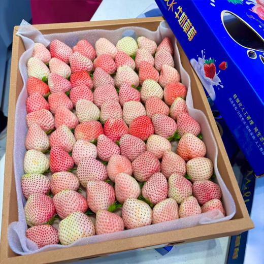 大盒草莓 香甜多汁 十年合作基地口感稳稳的 商品图6