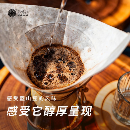 比顿咖啡454克蓝山风味咖啡豆 商品图2