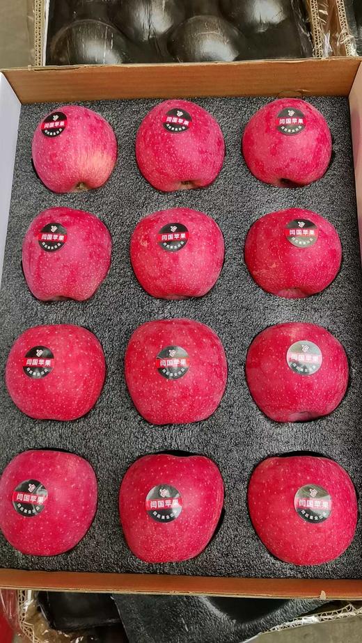 红富士苹果礼盒 12个装 7斤+ 商品图1
