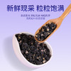 康美黑果枸杞200g/瓶 花青素足果粒饱满柄短肉厚可泡水青海头茬黑枸杞 商品缩略图4