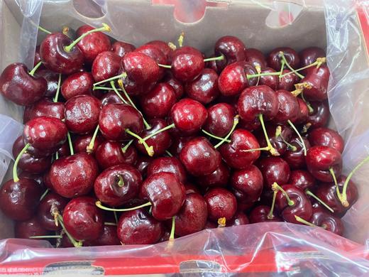 米奇3JD车厘子一箱（5斤装） 商品图1