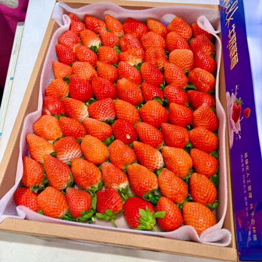 大盒草莓 香甜多汁 十年合作基地口感稳稳的 商品图5