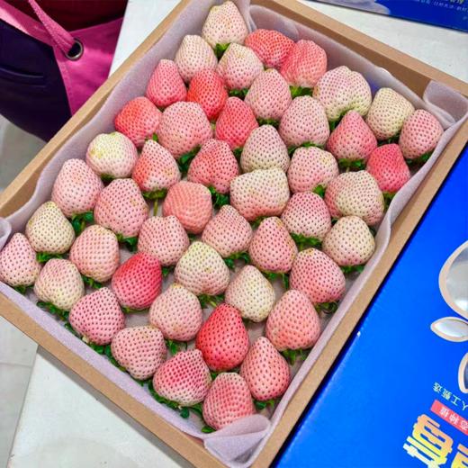 大盒草莓 香甜多汁 十年合作基地口感稳稳的 商品图4