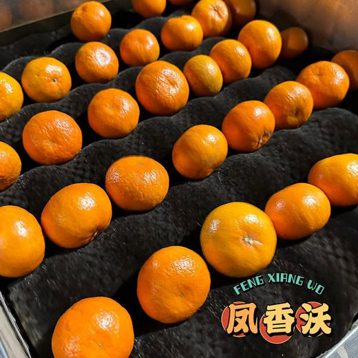 【云南沃柑】酸甜多汁 皮薄肉厚 肉质细腻 水分充足 清香四溢 给你一口爆汁的诱惑 4种规格任选 商品图12