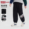 LEVIS 春 大童小童 儿童童装长裤 LVB-KN-R858 商品缩略图0