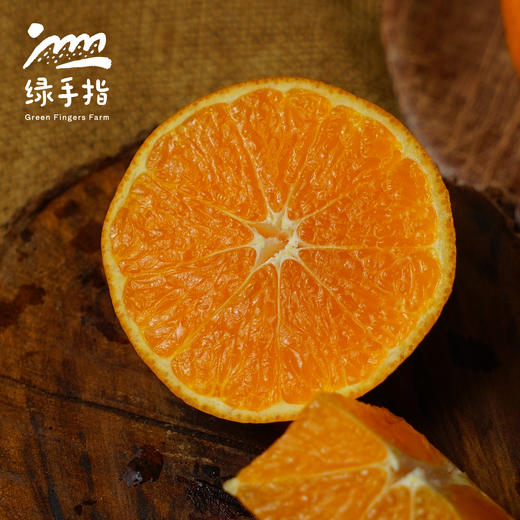 生态明日见&甘平（柑橘，限量20份）| 合作生产 *Ecology Tomorrow Will Meet Us & Ganping| Partner Production 商品图1
