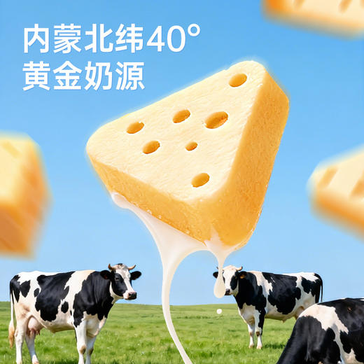 【鲜食】几多全高钙芝士三角酪  120g 商品图2