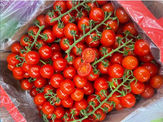 串番茄一箱 商品图1