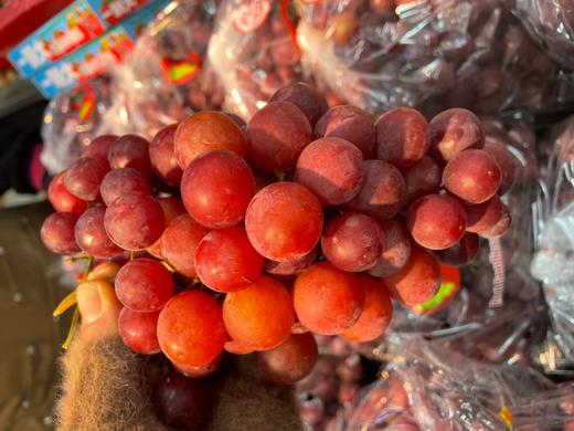 香水无籽红提一斤 商品图0