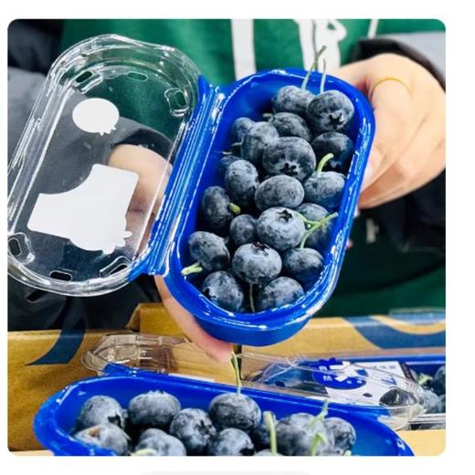 巨无霸蓝莓 商品图0