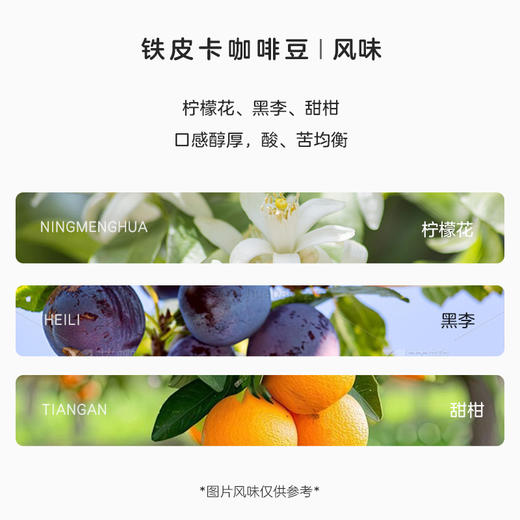 比顿咖啡227克铁皮卡咖啡豆 商品图1