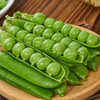 【新鲜带壳青豌豆】新鲜豌豆 云南高原带壳青豌豆 脆甜水果 豌豆荚 现摘现发 新鲜蔬菜 2种规格任选 商品缩略图8