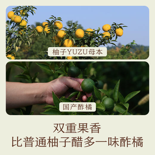 南食召 柚子醋 商品图3