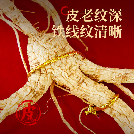 长白山林下参开窗（5g/盒） 商品图5