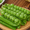 【新鲜带壳青豌豆】新鲜豌豆 云南高原带壳青豌豆 脆甜水果 豌豆荚 现摘现发 新鲜蔬菜 2种规格任选 商品缩略图5