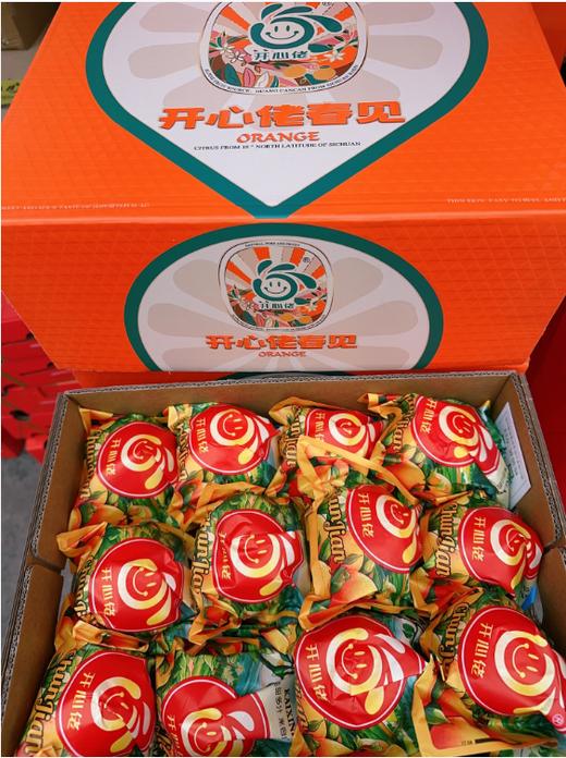 开心佬春见 商品图1