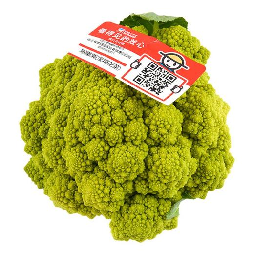 放心嫩嫩菜(宝塔花菜)200g/份 商品图4