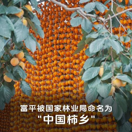 【富平柿饼】软糯爽口甜蜜多汁 甜而不腻鲜嫩无渣 商品图2