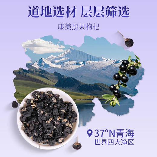 康美黑果枸杞200g/瓶 花青素足果粒饱满柄短肉厚可泡水青海头茬黑枸杞 商品图1